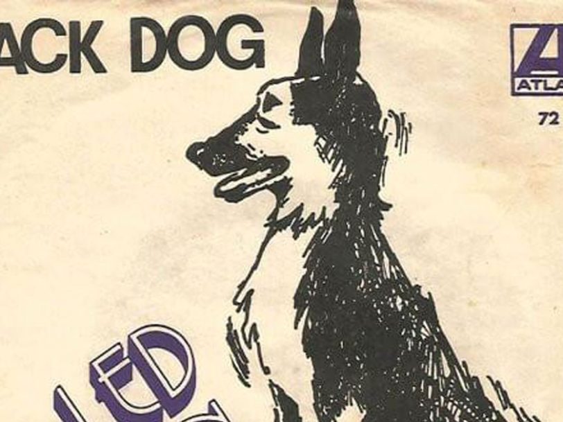 Best Songs About Dogs: 10 Canine Classics For Our Pedigree Chums